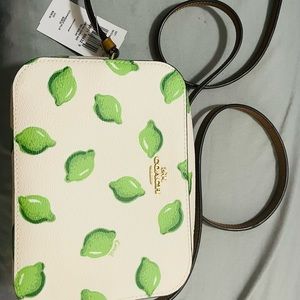 Coach crossbody bag with limes
